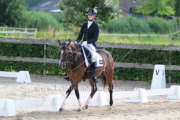 Rosanne van Marle - Mr. Darcy