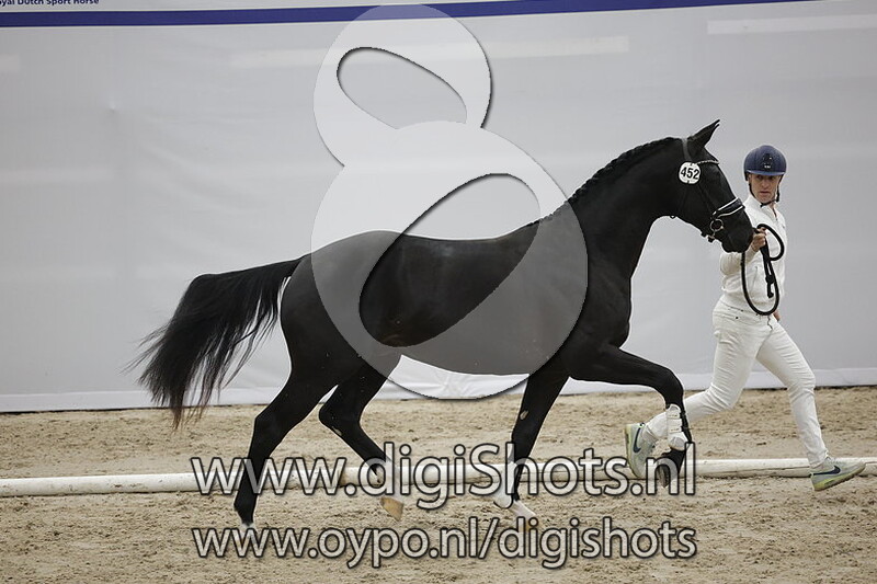 Pinot Noir v. Kjento - 452