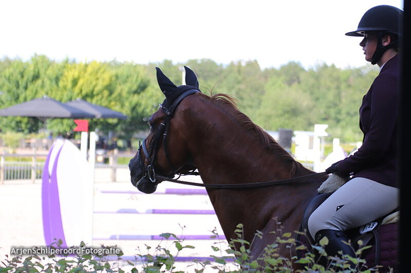 HTC Zomer Ijkmoment 02-07-2019 paarden 148 t/m 126