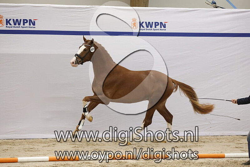 Snoop Dogg FM v. Sir Donnerhall I