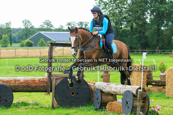 SGW Markelo Snorrewind Paard L Pony M 30-06-24