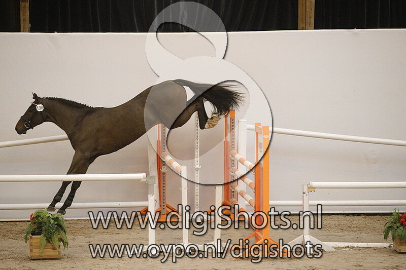 Metallic Key Sr v. Harley VDL