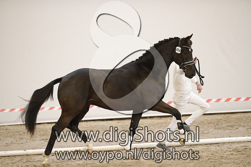 Morricone VDT v. Glocks Toto Jr