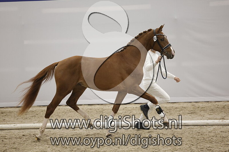 Panthos v. Imposantos - 402