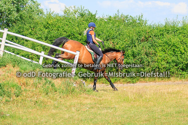 Training Margo Groep 1 16:00 uur 21-06-23