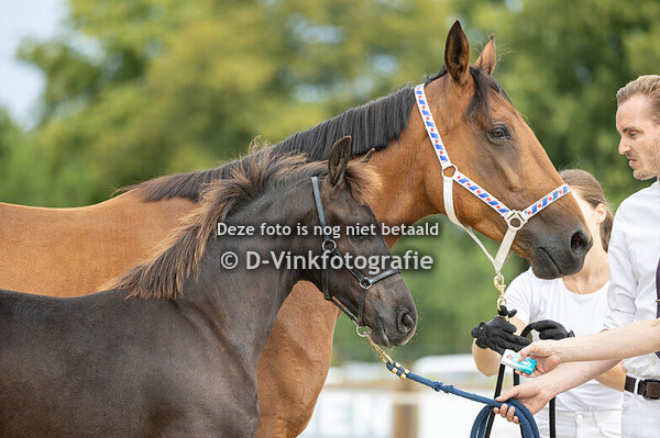 41. Floki van de Sprong