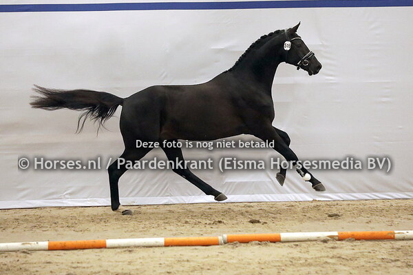 516 MSJ Soundtrack (My Fair Lady v. Millenium)