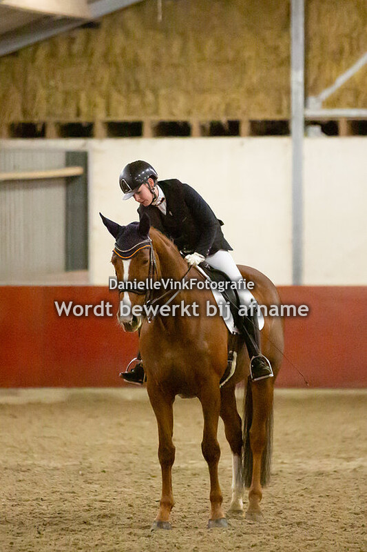 Suzanne de Vries-Schuren - Ginger SW