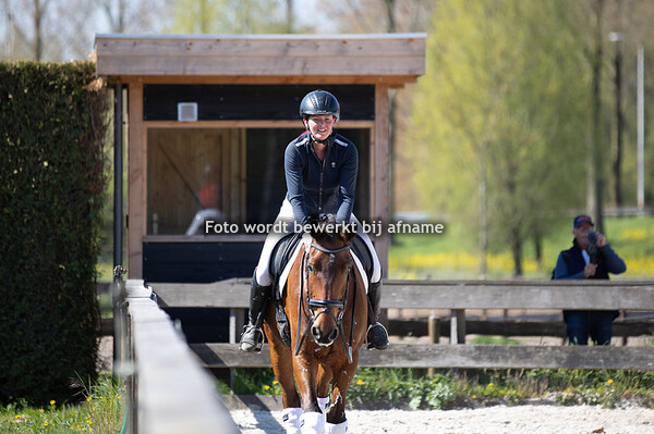 Shirly Meertens - Gigs