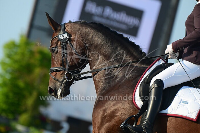 Nina Gerzon - Milarijke VR