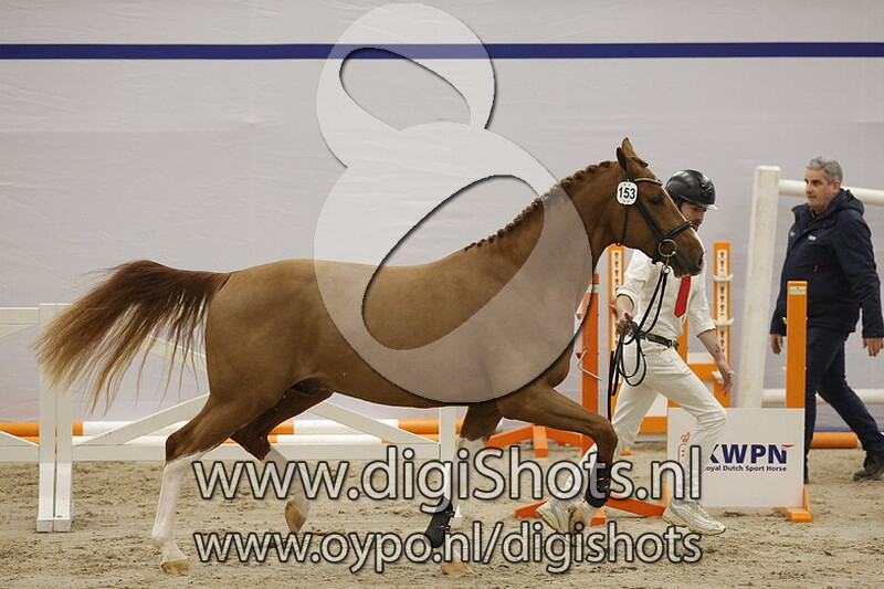 Uricas van t Gebergte Z v. Uricas vd Kattevennen