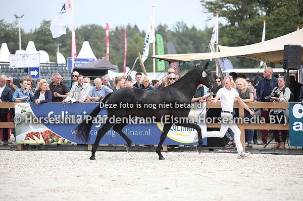 189 Let's Go (Ferguson x Zinith v. Tango)