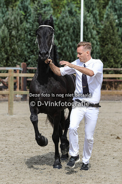 75. Laurine W van de Sprong