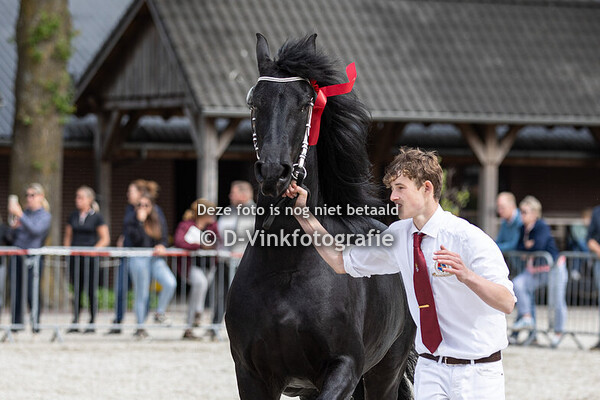 14. Thirza van de Meikade