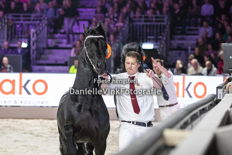 Hengstenkeuring 2025 Nyk 538