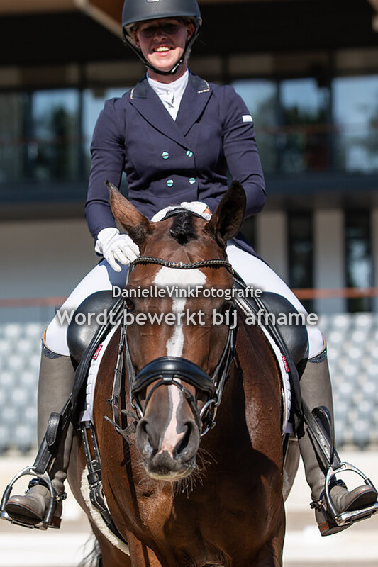 Anniek Schilt - Forlante