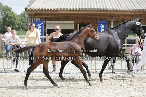 14 Safe Haven NW (Expression x Diwanda v. Florencio)