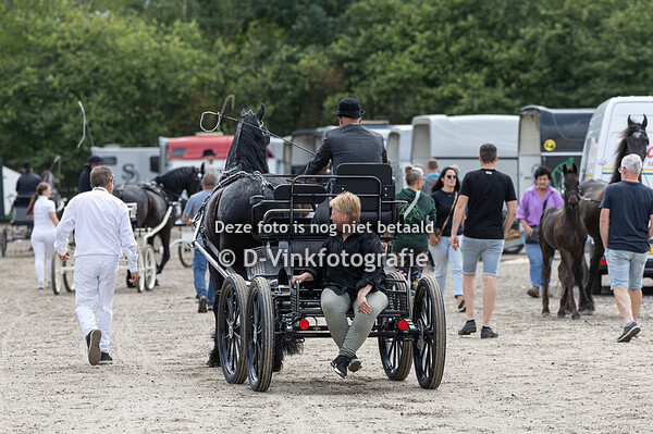 Tuigpaarden Open klasse