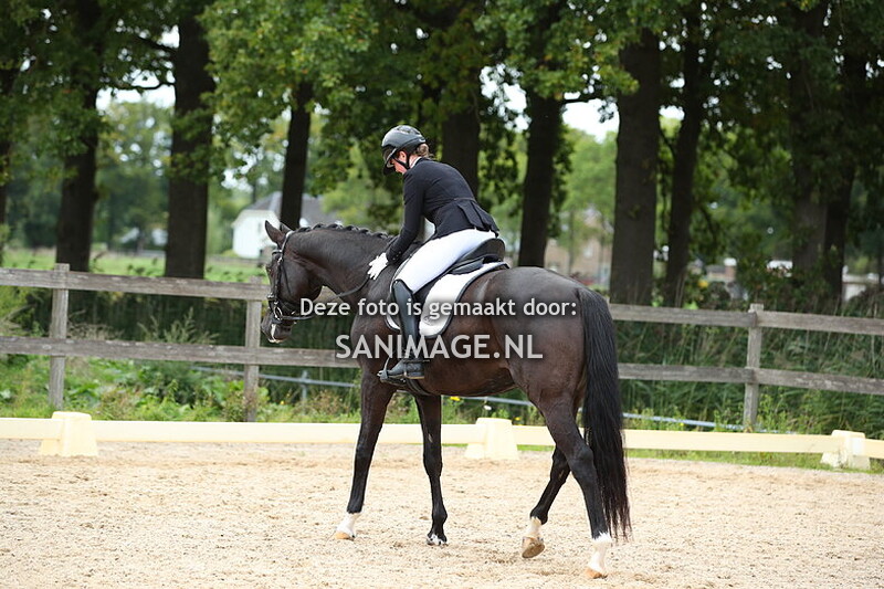 Manege Groenewoude Dressuur 14-09-2025 Ring 2 15.45 uur
