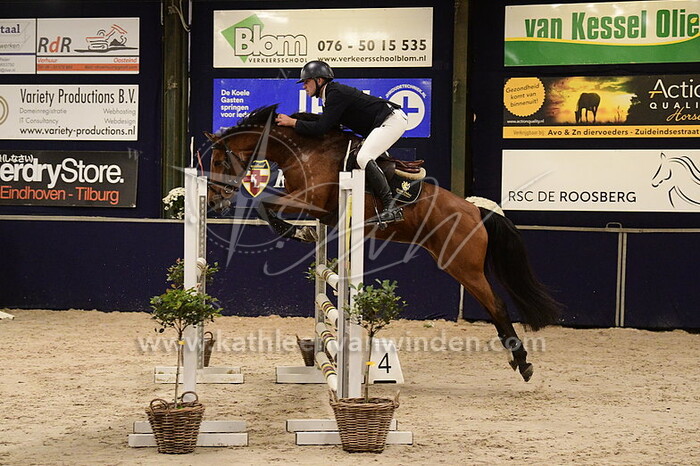 Olivier van der Vaart - Mondiale