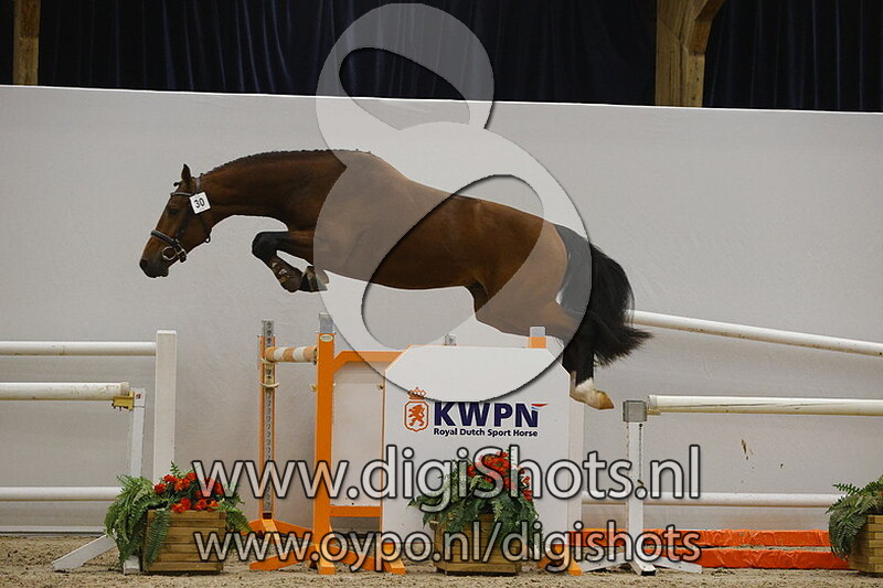 Carlos AVO's Z v. Cascadello