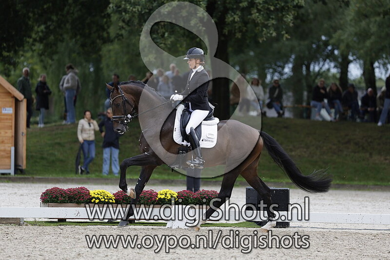 Rockstar millionaire