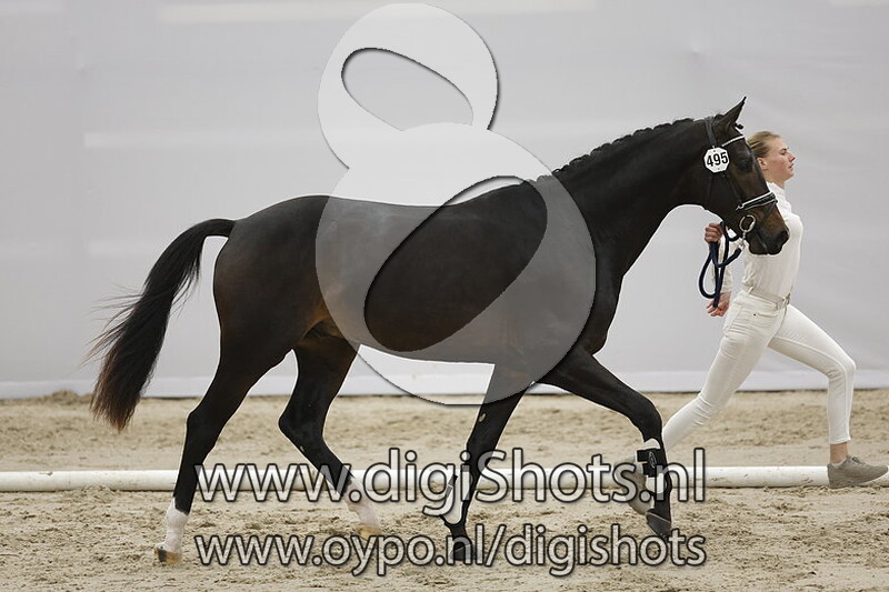 Papillon v. Lennox US - 495