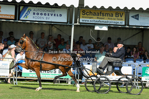 Hackney Openklasse grote maat 