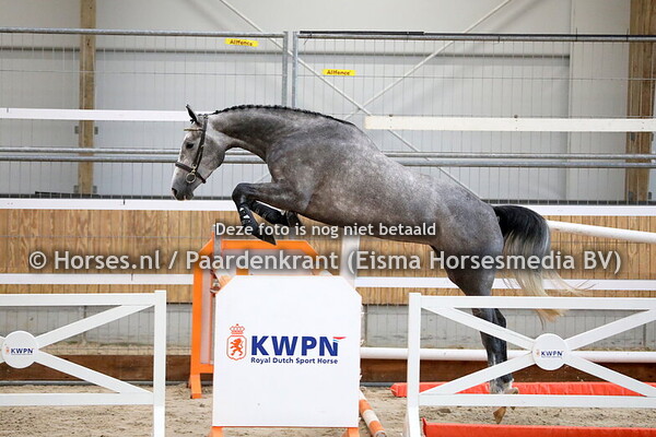 15-06-24 CK JongKWPN Ermelo