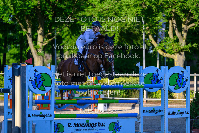 6 vrijdag  1.35m paarden