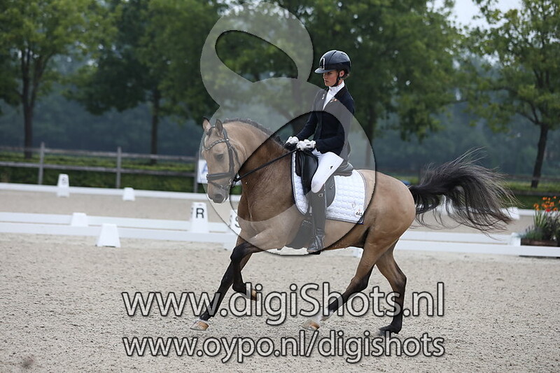 Ring 4 - Z2 cat DE kur