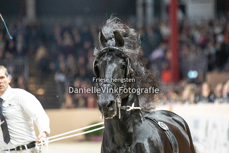 Hengstenkeuring 2023 Fonger 478