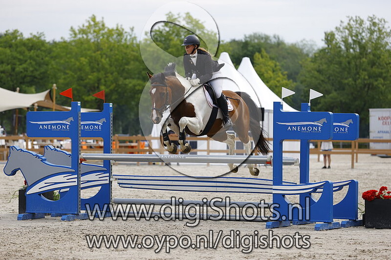 Springen 1.00m paarden