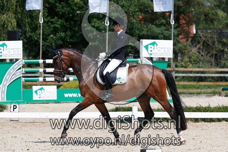 Gatino van hof Olympia