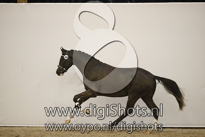 Mystery VDH v. Ferguson