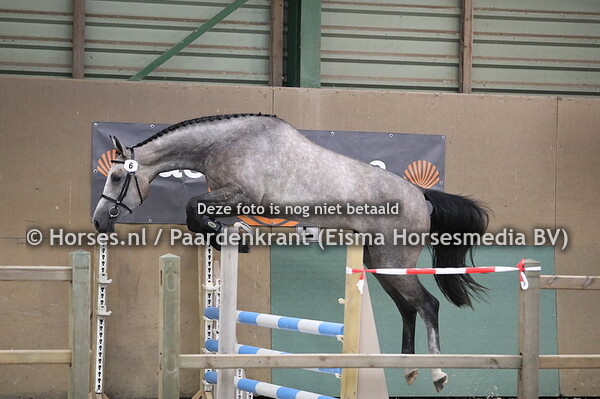 6 Miesarah van de Westerhoeve