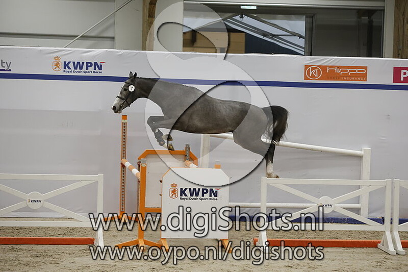 Rocky van De Pan v. Action Breaker - 001