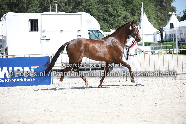 148 La-Platina (Johnson x Uplatina v. Farrington)