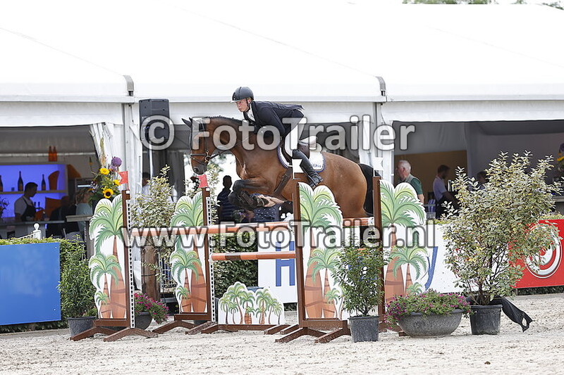 dennis van den brink