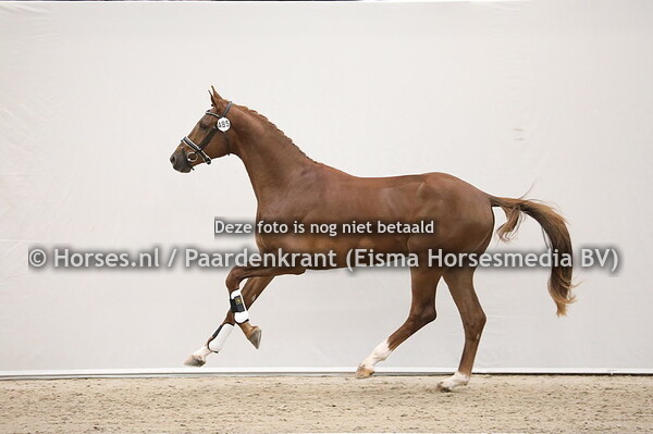 485 Incognito x Astrix