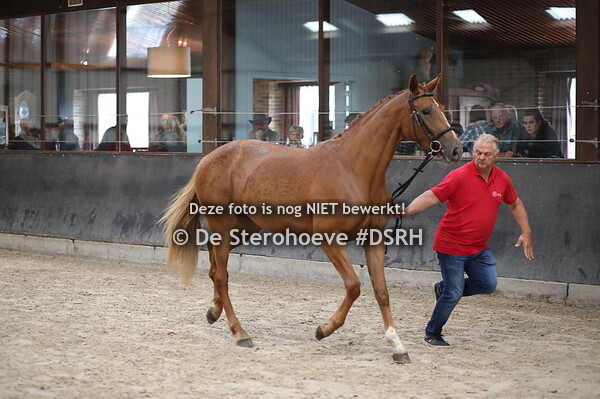 vrouwelijke tweejarige springen