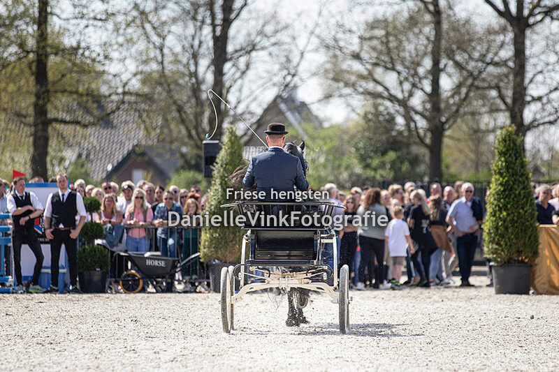 Hengstenshow Lunteren 18-04-2022 Auwert 514 aangespannen