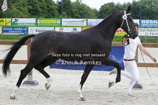 056 - RIFKA KANE BFT X ULANDRO J. ASSIES, ZEEWOLDE