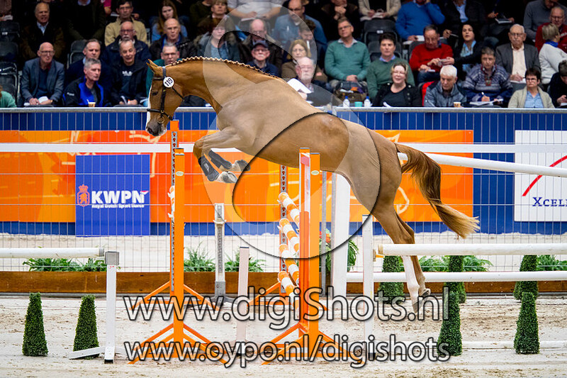 Like Pleasure v. For Pleasure