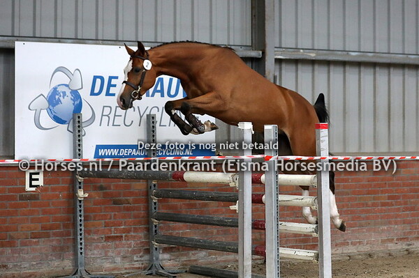 21-06-23 Stamboekkeuring Lonneker