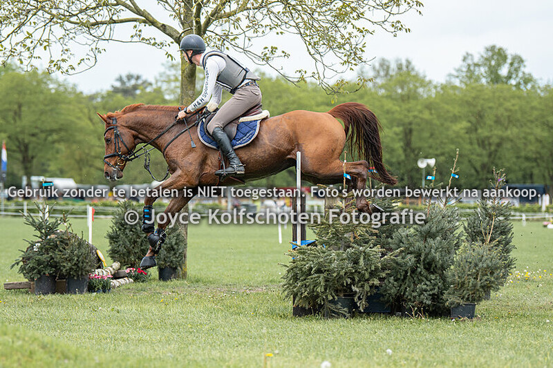 B-Paarden zonder Dressuur