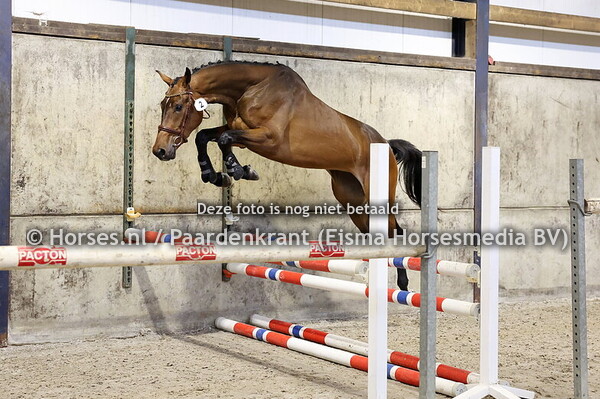 2 So Delicioous (Mans x Miss Dior v. Caarrera VDL)