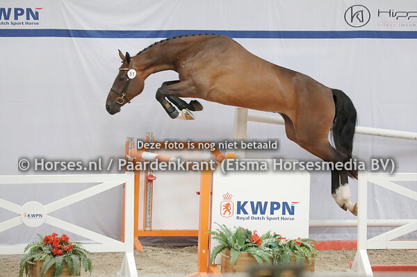 61 Onassis (High Shutterfly x Key of Live v. Forsyth)