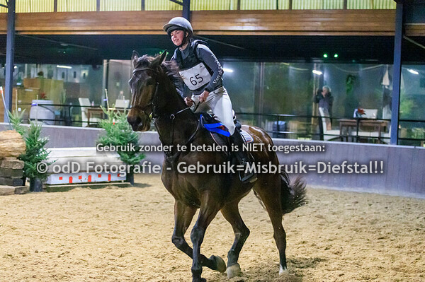 Indoor SGW Cross Paard M 30-12-24